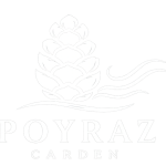 Footer Logo